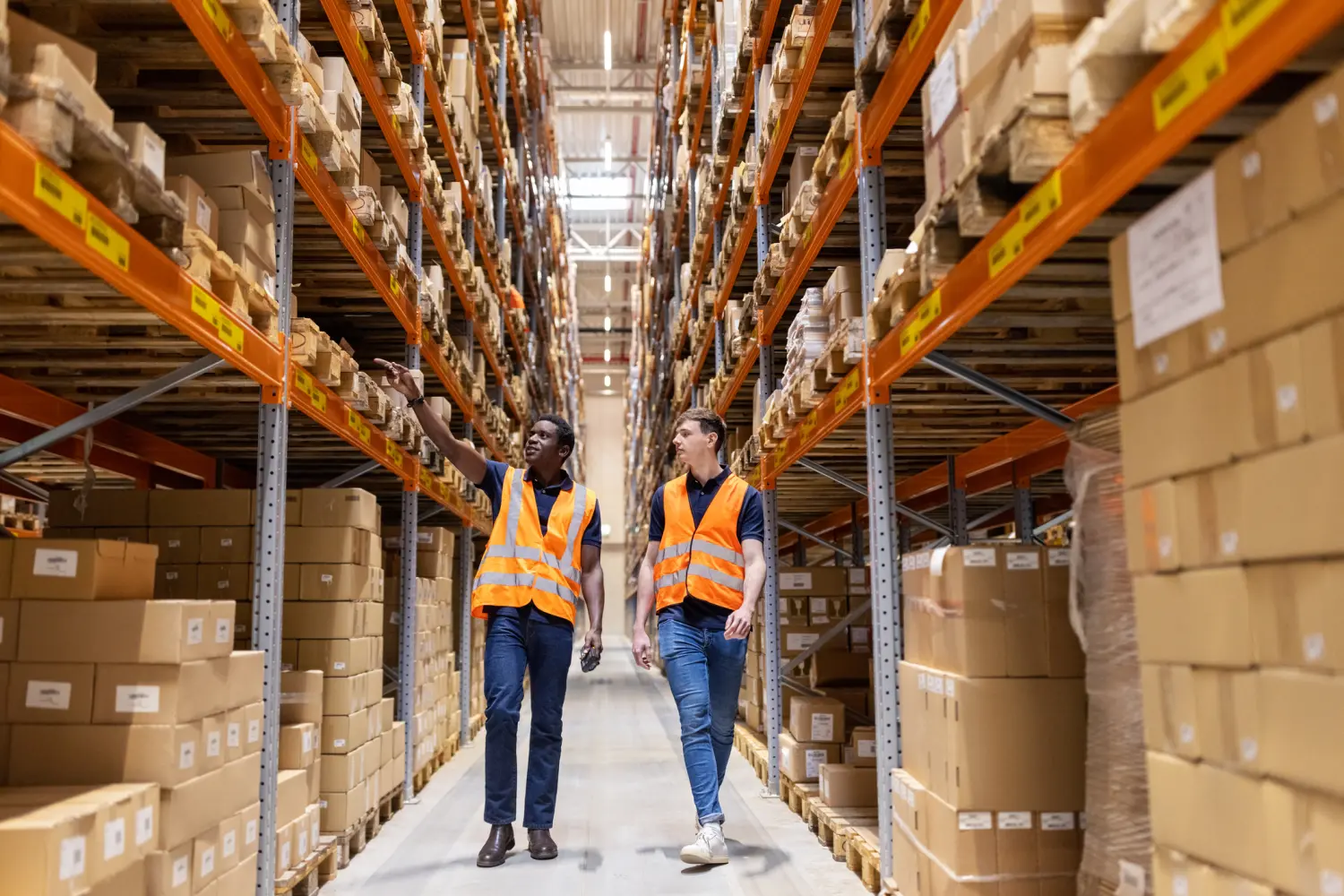 H&N VIP Schutz Gmbh Fachkraft für Lagerlogistik